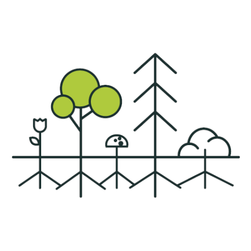 Plants with connected roots doodle